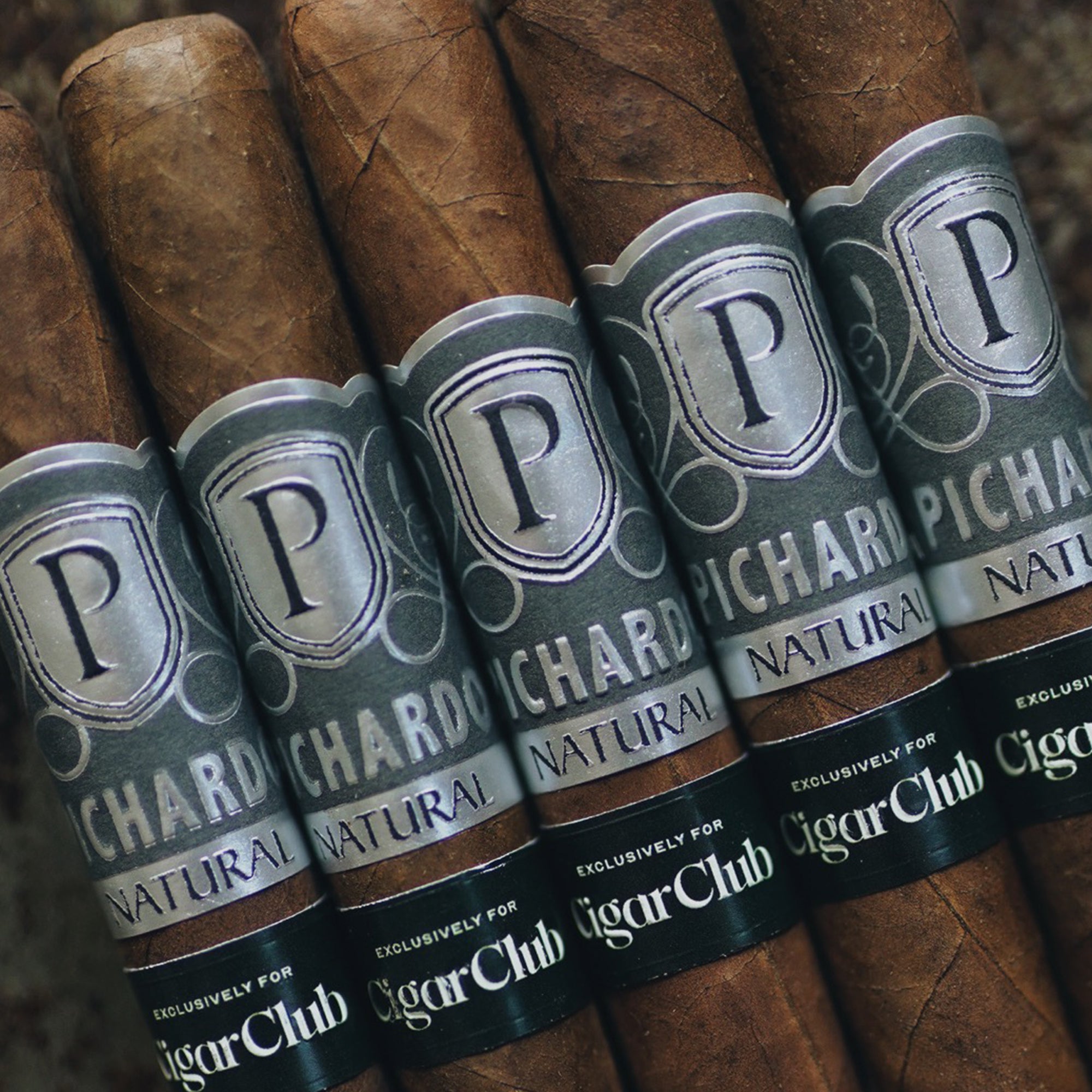 CigarClub x Pichardo Clasico Natural Exclusive | 5 Pack - [Cigar Club] - [cigar subscription]